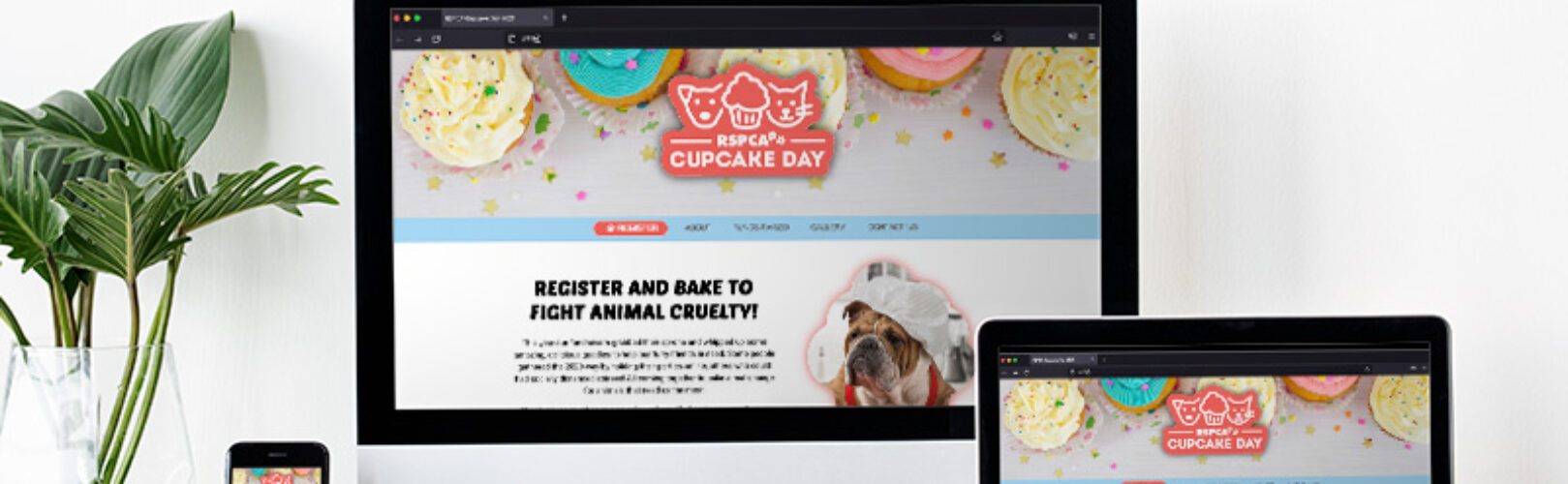 RSPCA Cupcake Day Website Mockup